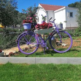 House Marie’s Lavander Dream Raslina