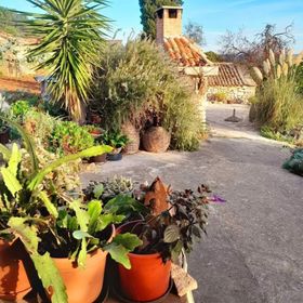 Apartments Darka Žman