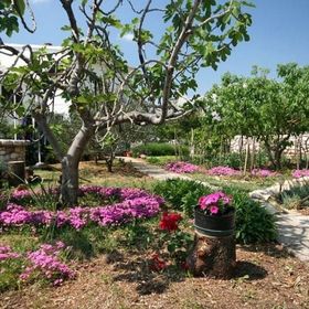 Apartmanok Parkolóhellyel Baska, Krk - 23742 Baška