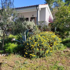 Nyaralóház A Tenger Mellett Maslinica, Solta - 23755 Maslinica