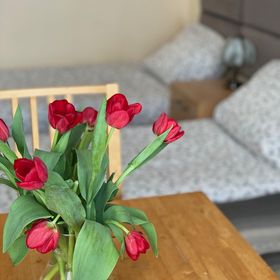 Willa Wiosenna Kołobrzeg