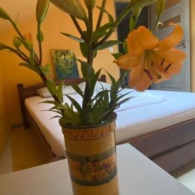 Hostel Art Inn Space Kraków