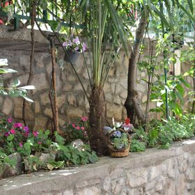 Apartman Green Oasis Vodice