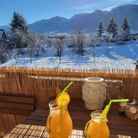 Pensiunea Joy City Stay Zarnesti Montan Old