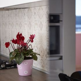 Apartment Tomi Trogir II