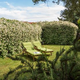 House Green Marea Vabriga