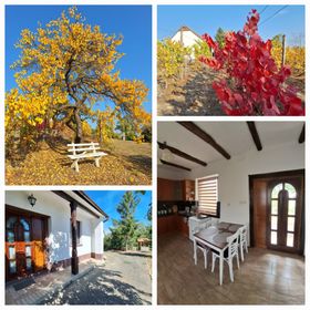 Mi kis lakunk Vendégház Várdomb