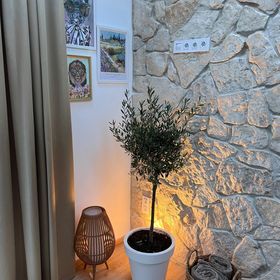 Pezsgő Apartman Balatonfüred