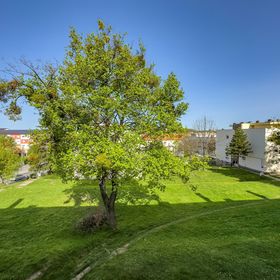 Becky Apartman Komló