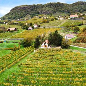 Hamvas Vendégház Somlóhegy