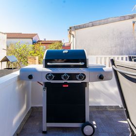 Apartment Gerzic Vir