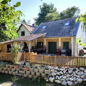 Borvirág Vendégház Bakonypéterd