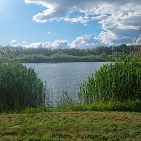 Pitypang Apartman Tiszafüred