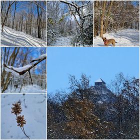 SB Sport Apartman Salgótarján