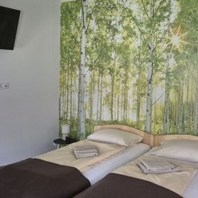 Rozmaring Apartman Mihályfa