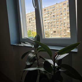 Szocreal dream Budapest