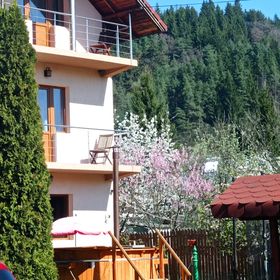 Casa de vacanta Eva Stoenesti