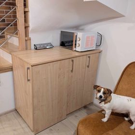 Extra miodowy apartament Sielpia Wielka