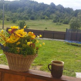 Casa Pridvor de Stoenești Bârlogu