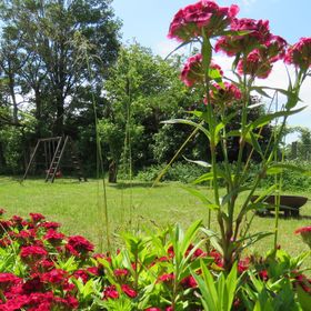 Böhmerwaldpur² Apartmanház Klaffer am Hochficht