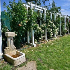 Pensiunea Carla Sărata-Monteoru