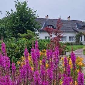 Rubato Vendégház Dudar