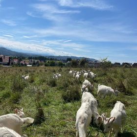 Willa Toskański Zakątek Kluszkowce