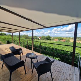 Werner Apartman Bátaszék