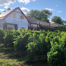 Werner Apartman Bátaszék