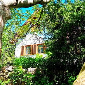 Vadszőlő - Wild Grape Vendégház Badacsonyörs