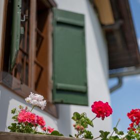 Nózsi-hegyi Vendégház Patca