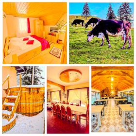 Pensiunea Valea cu Brazi Dâmbovicioara