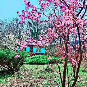 Meredély Kunyhószállás Leányfalu