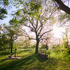 Kőris Tanya Vendégház Hódmezővásárhely