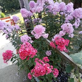 Fecske Apartman Felsőpáhok 