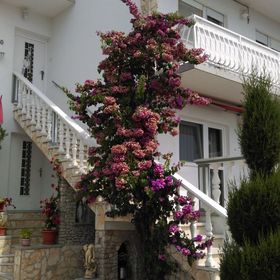 Apartman Mona Brodarica