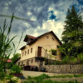 Căsuța Din Pădure Călimăneşti