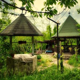 Căsuța Din Pădure Călimăneşti