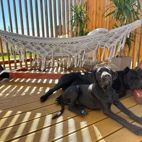 Domki Krasne Morze Mielenko