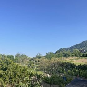 Pihenő Apartman Csókakő