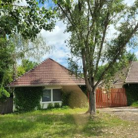 Vadász Liget Pihenő Szatymaz