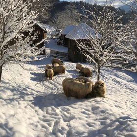 Cabana Hatere Moisei