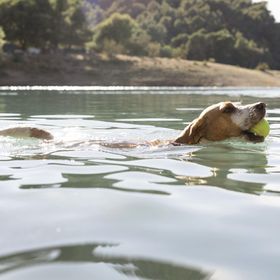 Balaton Nomad Garden Balatonkeresztúr