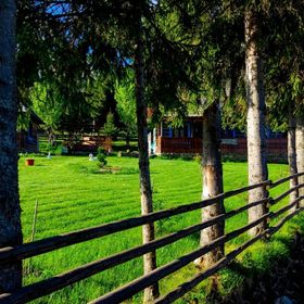 Căsuța Floarea Reginei Borșa