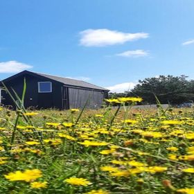 Dom na łące Jantar