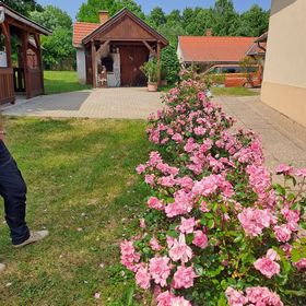 Fényesfelde Apartman Lendvajakabfa