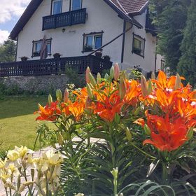 Casa Victoria Moieciu de Sus