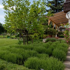 Viktoria-Ház Ábrahámhegy