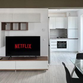 Skylark | Sydney Penthouse with Jacuzzi & Mountain View Brașov