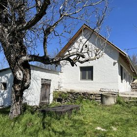 Bazalt Tigris Vendégház Zalahaláp